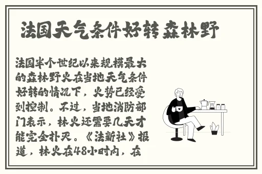 timi天美传孟若羽